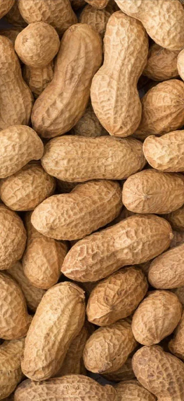 Pistachios