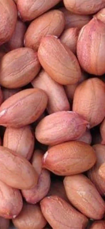 Pistachios