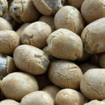 Macadamia Nuts