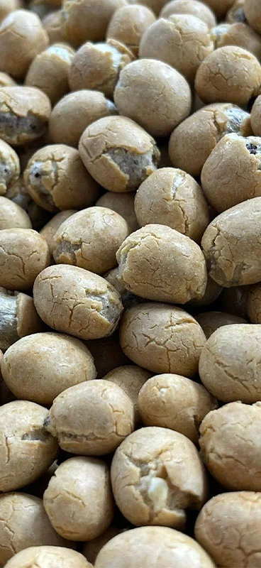 Macadamia Nuts
