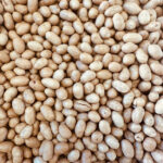Brazil nuts