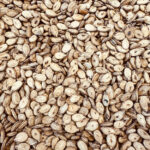 Extra roasted watermelon seeds