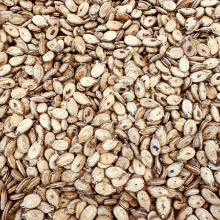 Extra roasted watermelon seeds