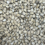 Jumbo dusty watermelon seeds