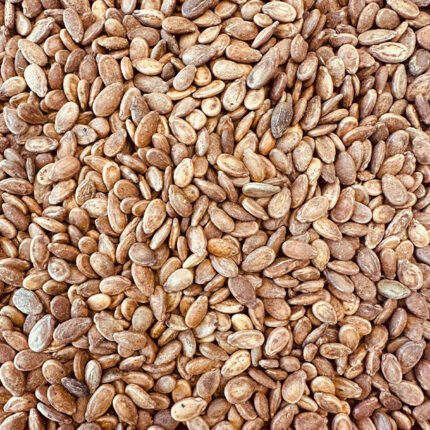 Iranian watermelon seeds