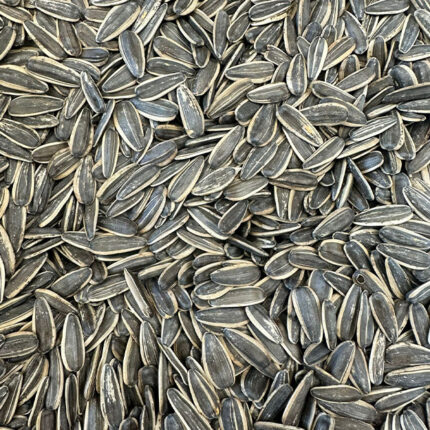 Chinese sunflower seeds