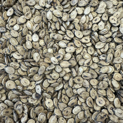 Jumbo roasted watermelon seeds