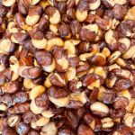 Roasted fava beans