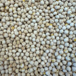 White roasted chickpeas