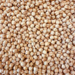 Yellow roasted chickpeas