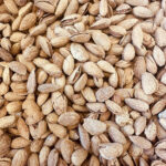 Unpeeled almond